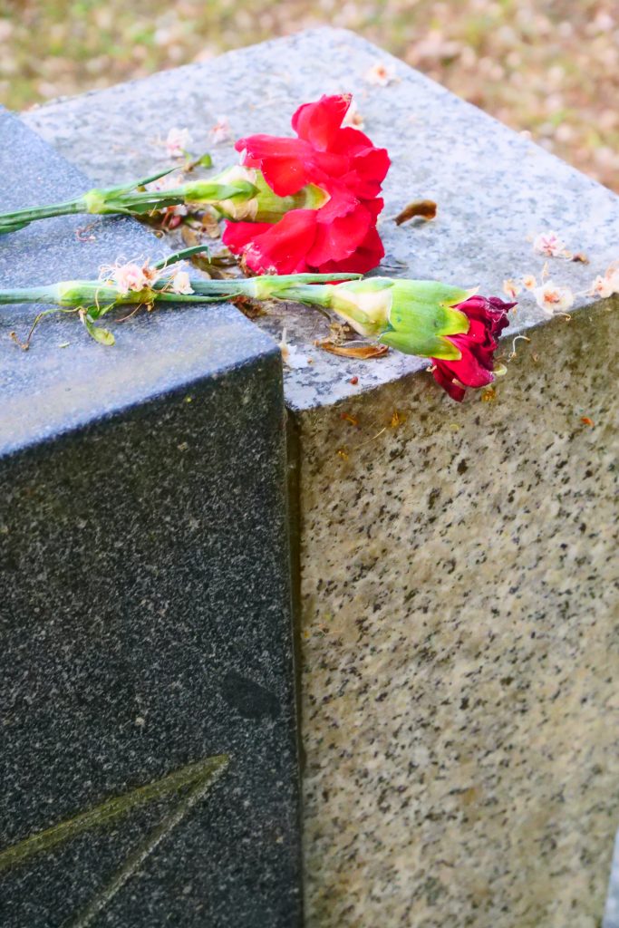 Rote Nelken auf einem Grabstein